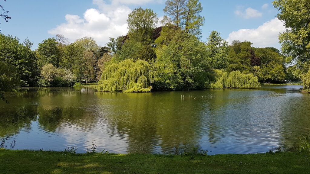 stadspark Wilhelminapark Utrecht Wittevrouwen