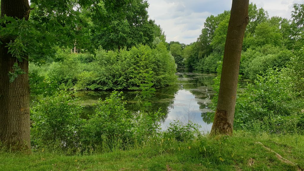 Fietsen en Wandelen door Rivierbos Amelisweerd, Utrecht