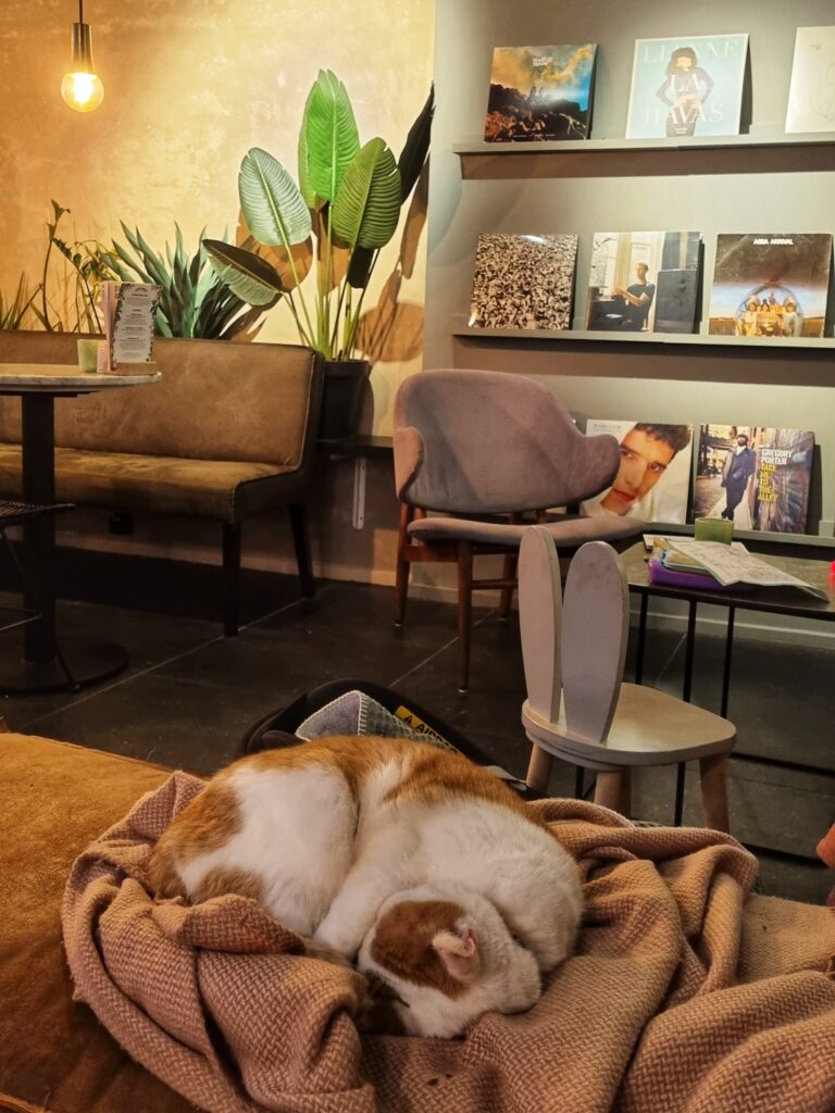 Anne&Max, Utrecht Oost, speelhoek, speelgoed, , koffie en lunchen met kinderen in Utrecht tips