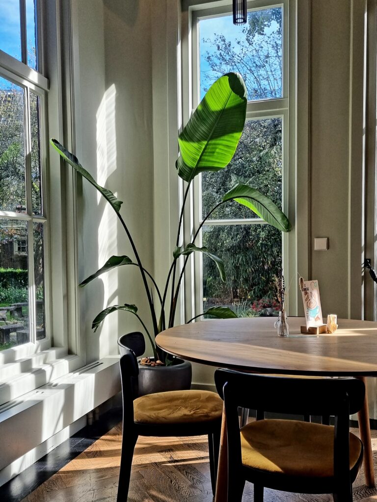 Anne & Max Domstraat; goede koffie, taart, lunch tip Utrecht centrum